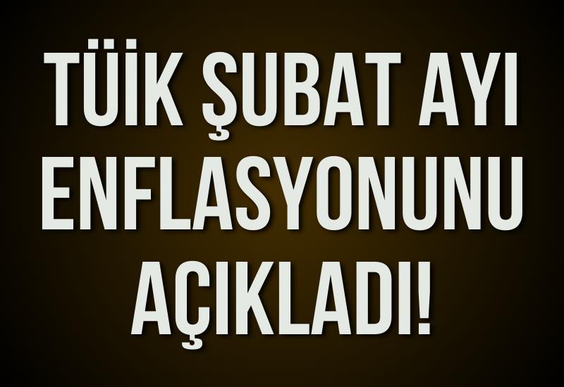 TÜİK şubat ayı enflasyonunu açıkladı!