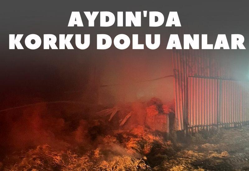 Aydın'da korku dolu anlar