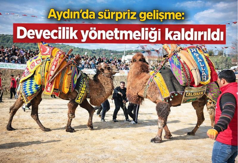 Aydın’da sürpriz gelişme: Devecilik yönetmeliği kaldırıldı
