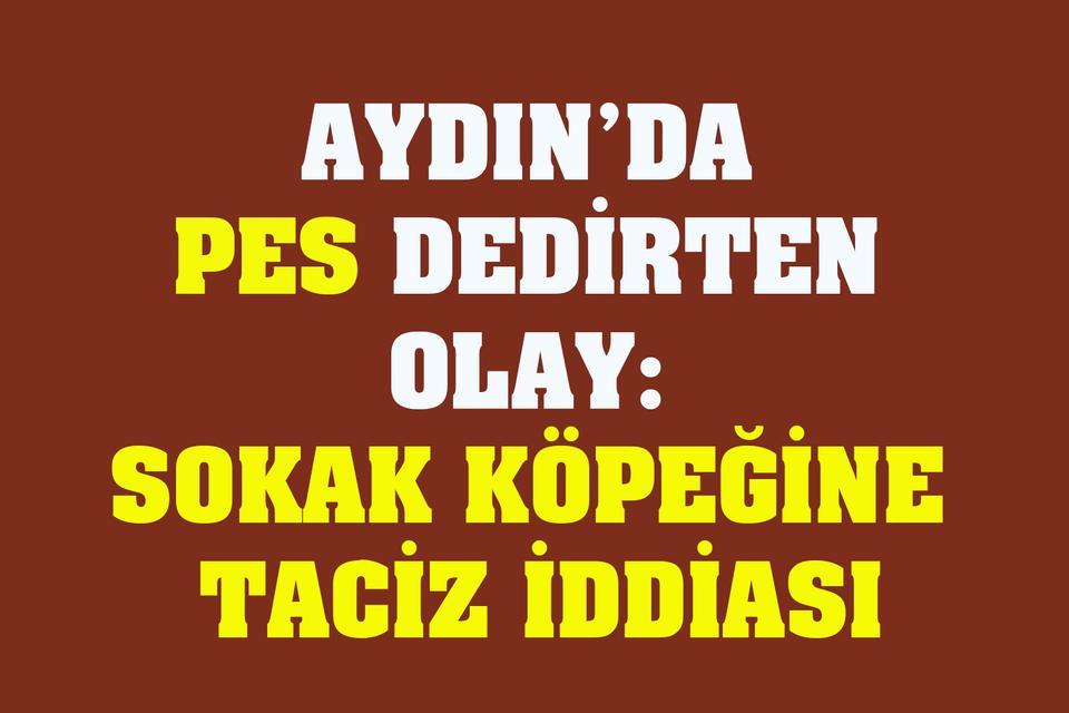Aydın’da pes dedirten olay: Sokak köpeğine taciz iddiası