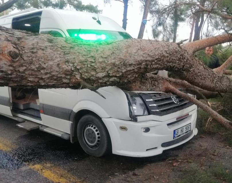 Seyir halindeki minibüsün üstüne ağaç devrildi