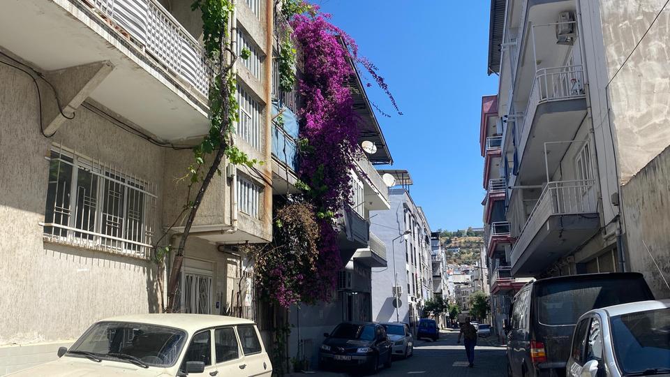 Aydın'ın cadde ve sokakları çiçek açtı
