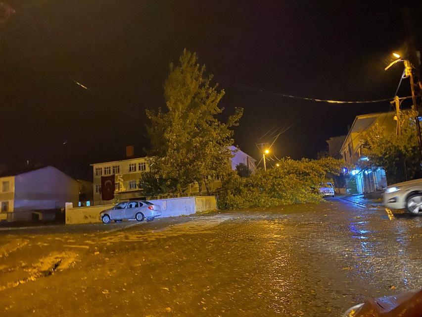 Rüzgarın kökünden söktüğü ağaç otomobilin üzerine devrildi