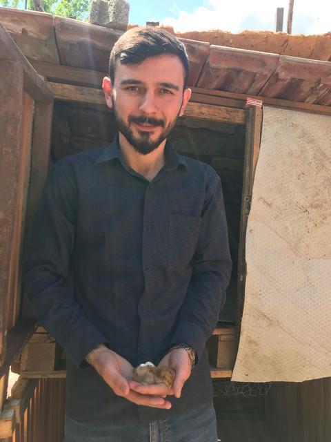 DÖRT BACAKLI CİVCİV GÖRENLERİ ŞAŞIRTIYOR