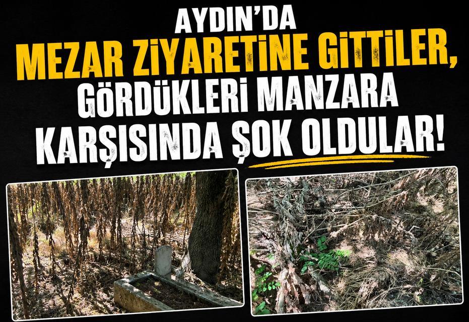 Aydın'da mezar ziyaretine gittiler, gördükleri manzara karşısında şok oldular