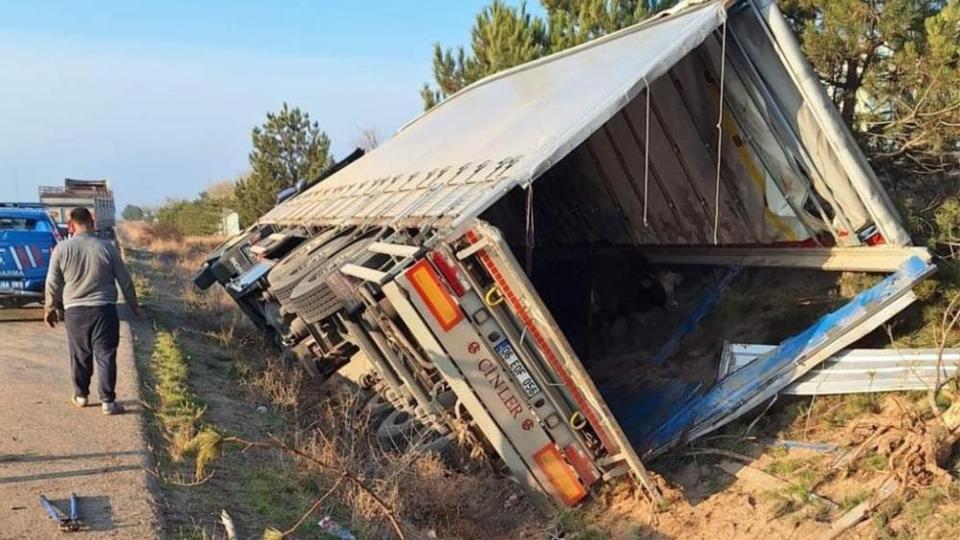 Tır devrildi: 5 büyükbaş hayvan telef oldu
