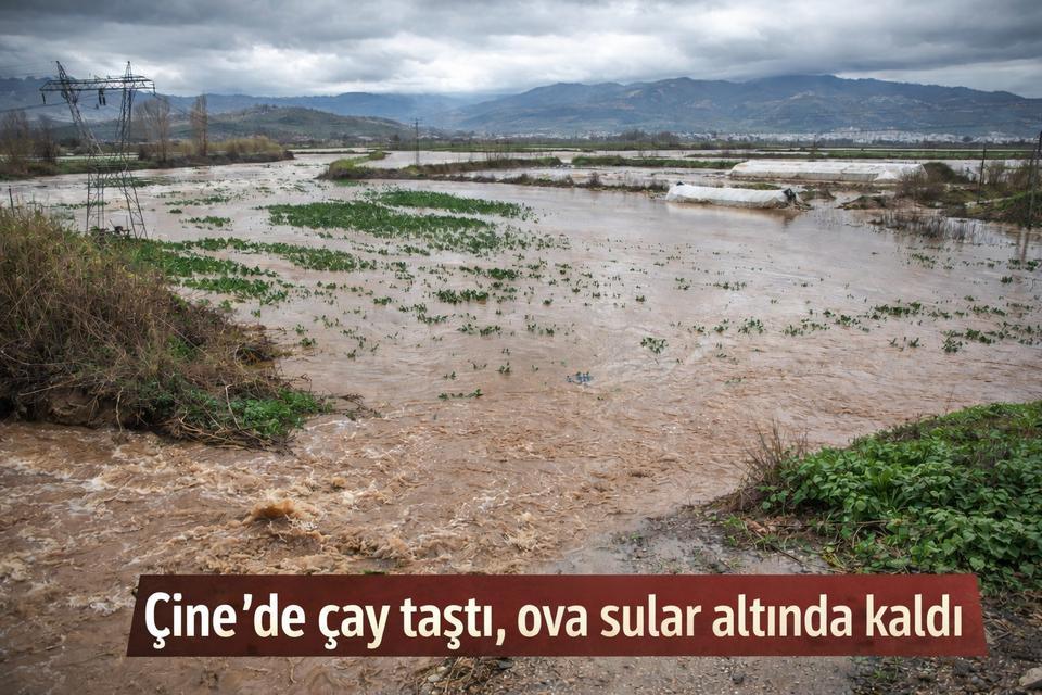 Çine'de çay taştı, ova sular altında kaldı