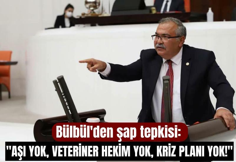 Bülbül'den şap tepkisi: "Aşı yok, veteriner hekim yok, kriz planı yok!"