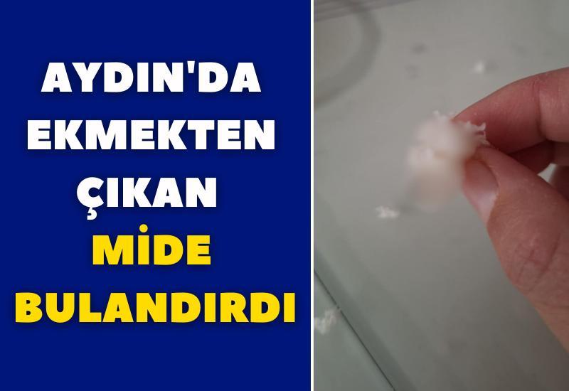 Aydın'da ekmekten çıkan mide bulandırdı