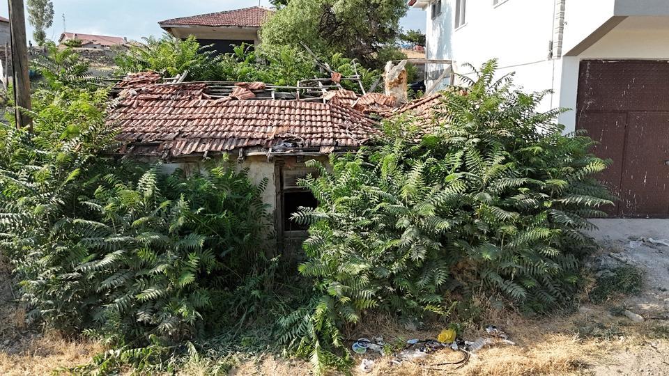 Bir şehir bunu konuşuyor: Keloğlan'ın doğduğu köy gündem oldu