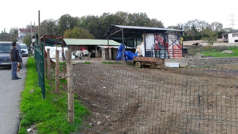 Şap alarmı: 3 köy karantinada, 18 mahalle gözetim altında