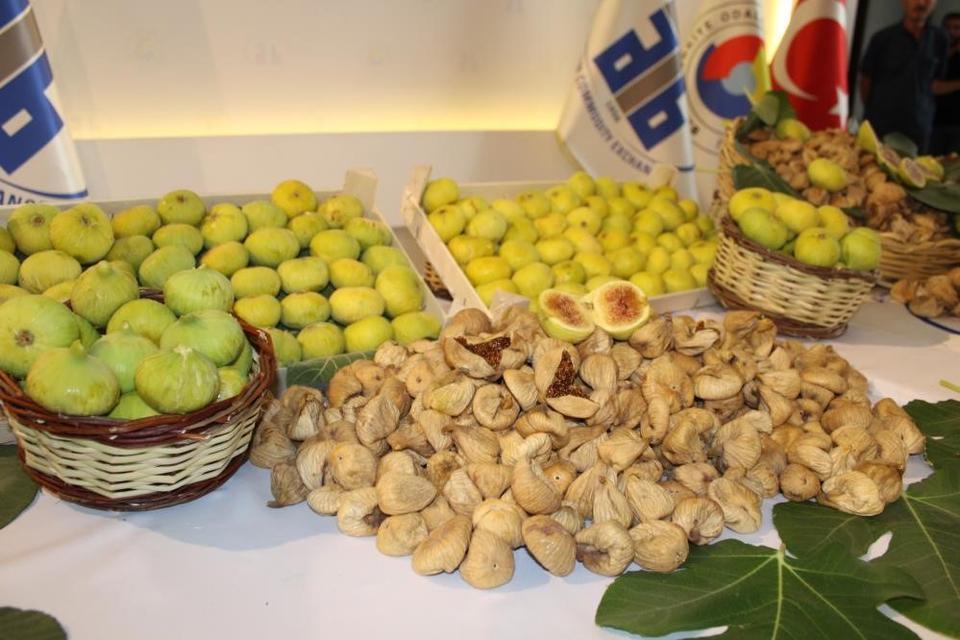 İKLİM DEĞİŞİKLİĞİ AYDIN İNCİRİNİ OLUMSUZ ETKİLEDİ