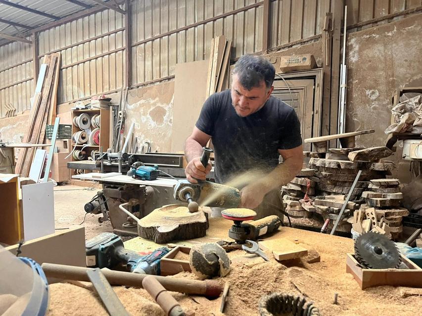 Çürümüş zeytin ağaçlarını sanat eserine dönüştürüyor