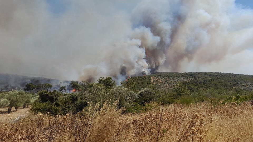 ÇEŞME'DE YANGIN BÜYÜDÜ, 5 UÇAK VE 18 HELİKOPTERLE MÜDAHELE SÜRÜYOR PANİK YAŞANAN BÖLGEDE BAZI EVLER BOŞALTILDI