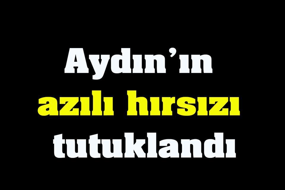 Aydın’ın azılı hırsızı tutuklandı