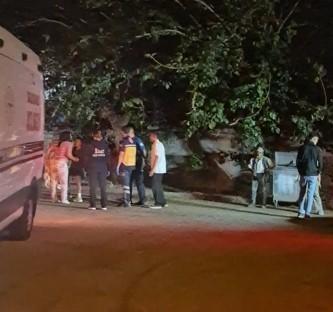Sinir krizi geçiren kadının bağırış sesleri sokağı inletti