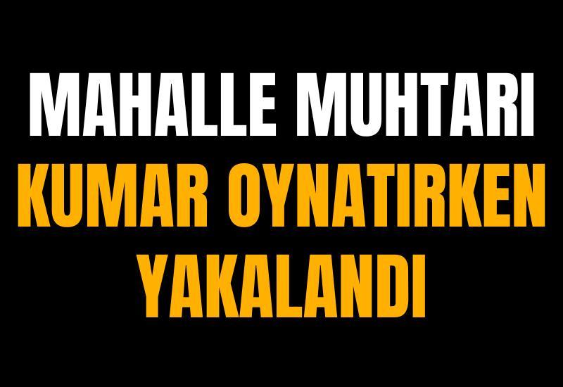Mahalle muhtarı kumar oynatırken yakalandı