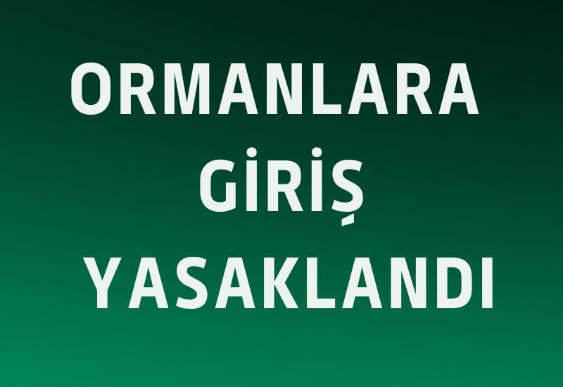 Ormanlara giriş yasaklandı