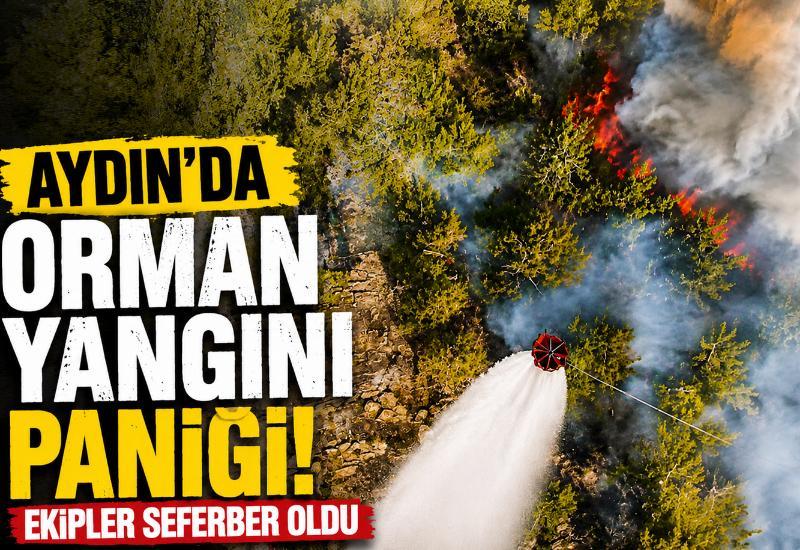 Aydın'da orman yangını paniği! Ekipler seferber oldu
