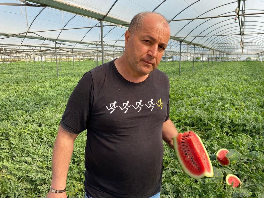 ANTALYA'DAKİ SICAK HAVALAR KARPUZ HASADINI ÖNE ÇEKTİ DÖNÜMDEN 4 TON HASADIN GERÇEKLEŞTİĞİ KARPUZUN KİLOSU 23 İLA 25 LİRA ARASINDA DEĞİŞİYOR