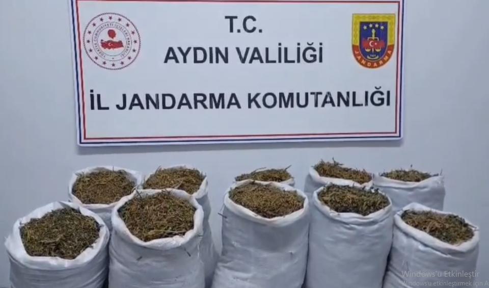 Aydın’da 2 zehir yuvasına baskın: 22 kilo esrar çıktı