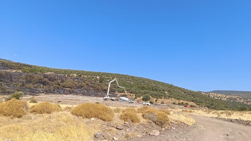 Şehzadeler'deki orman yangınıyla ilgili 1 kişi tutuklandı