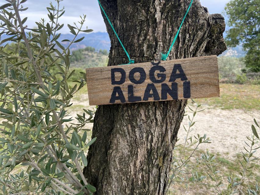 Aydın’ın ilk ve tek orman okulu: Hayal Dünyam Anaokulu