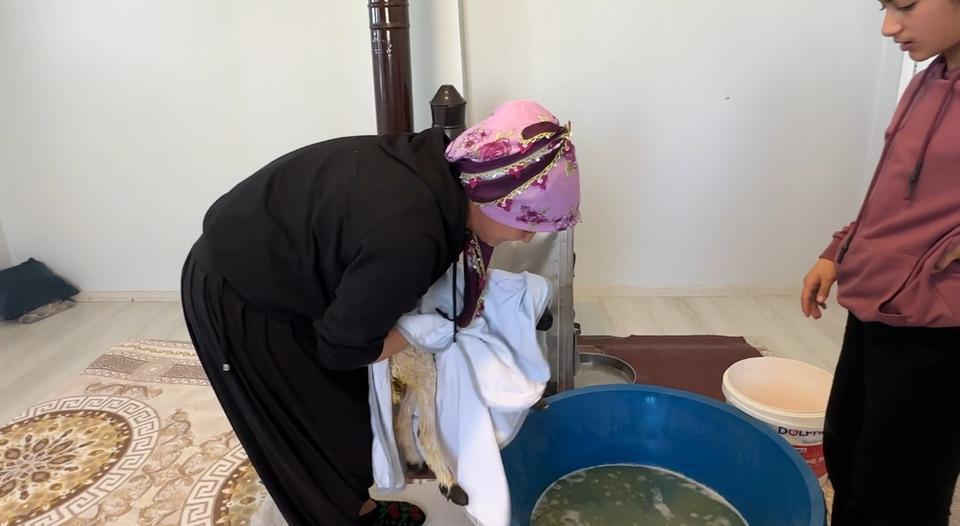 ANNESİZ KALAN KUZU AİLENİN 'UMUT'U OLDU ANNESİZ KUZUYU EV ORTAMINDA BEBEK ŞAMPUANIYLA YIKAYIP BİBERONLA BESLİYORLAR