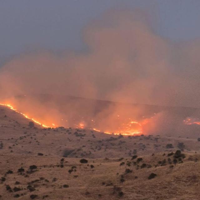Yangına müdahale sürüyor