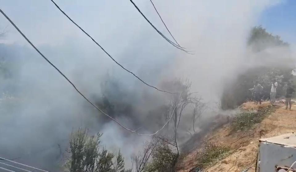 SİGARA İZMARİTLERİ YANGINLARA NEDEN OLDU İZMARİT ORMANI YAKIYORDU ŞANLIURFA'DA YAŞANAN İKİ AYRI YANGIN PANİĞE NEDEN OLDU