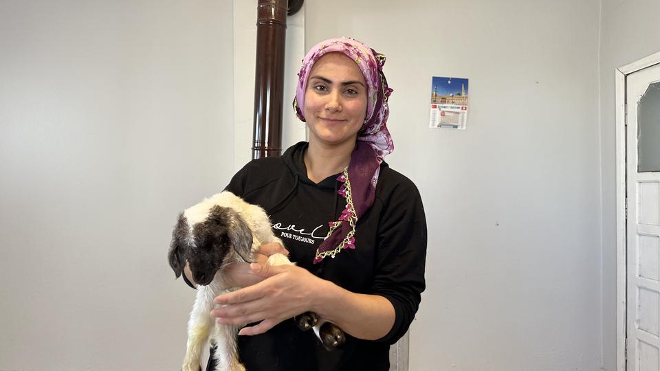 ANNESİZ KALAN KUZU AİLENİN 'UMUT'U OLDU ANNESİZ KUZUYU EV ORTAMINDA BEBEK ŞAMPUANIYLA YIKAYIP BİBERONLA BESLİYORLAR