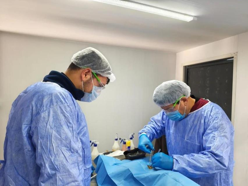 Germencik Belediyesi sokak hayvanları için kısırlaştırma çalışmalarını sürdürüyor