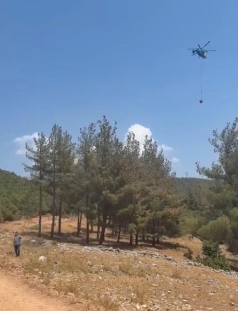 Yine orman yangını: Havadan ve karadan müdahaleyle söndürüldü