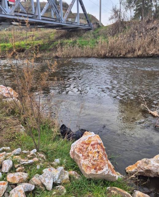 Trenin çarptığı yaya köprüden savruldu: 79 yaşındaki adam hayatını kaybetti