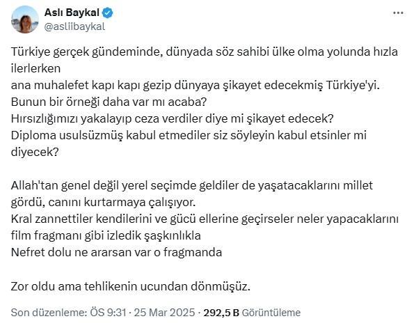 DENİZ BAYKAL'IN KIZINDAN CHP'YE SERT ELEŞTİRİ