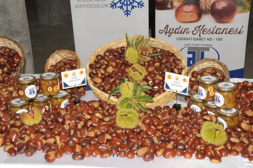 AYDIN'DA SEZONUN İLK KESTANESİ KİLOSU 550 TL'DEN ALINDI