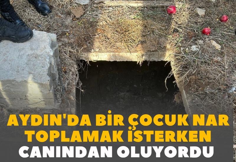 Aydın'da bir çocuk nar toplamak isterken canından oluyordu