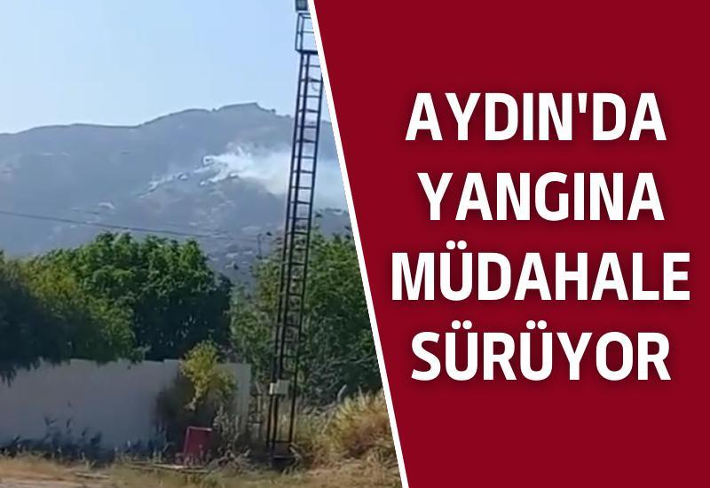 Aydın'da yangına müdahale sürüyor