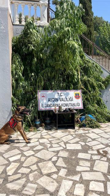 Aydın'da 900 gram kubar esrar ele geçirildi