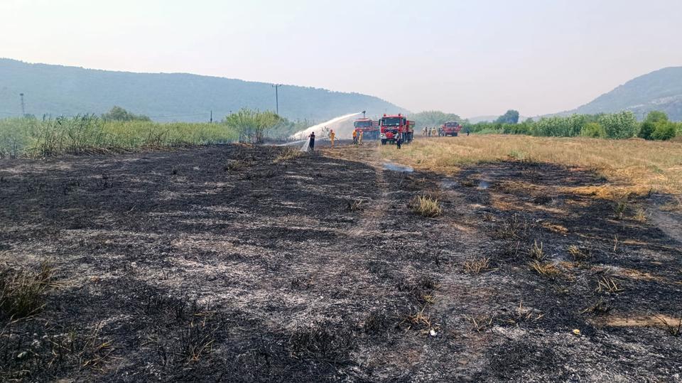ORTACA'DA SAZLIK YANGINI