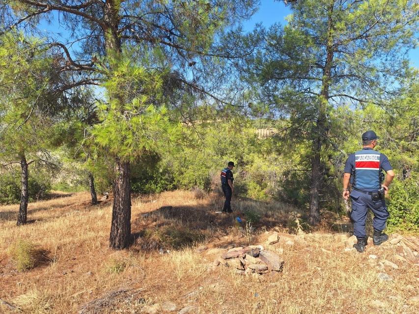 Aydın'da ormanlara giren ve ateş yakanlara ceza yağdı