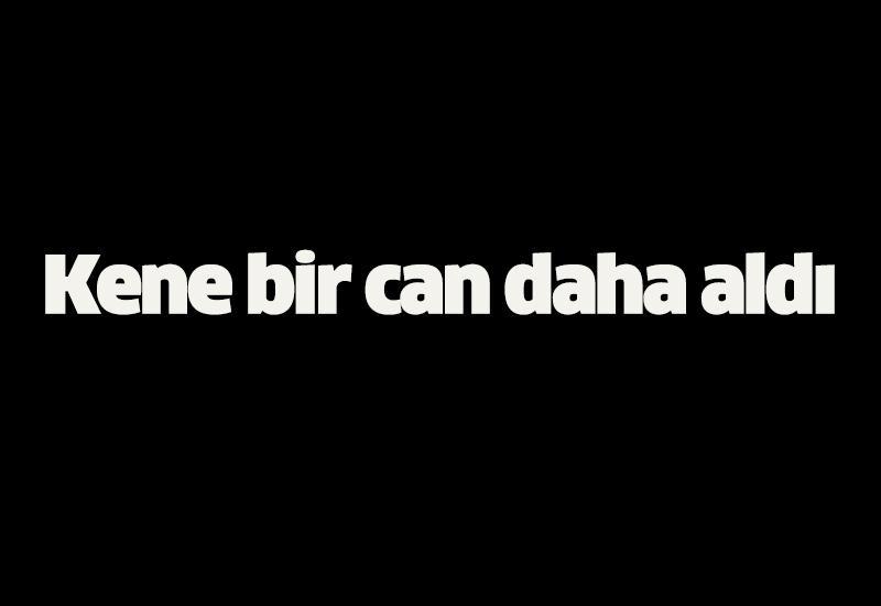 Kene bir can daha aldı