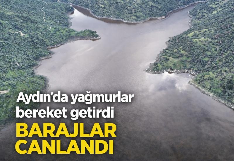 Aydın'da yağmurlar bereket getirdi, barajlar canlandı