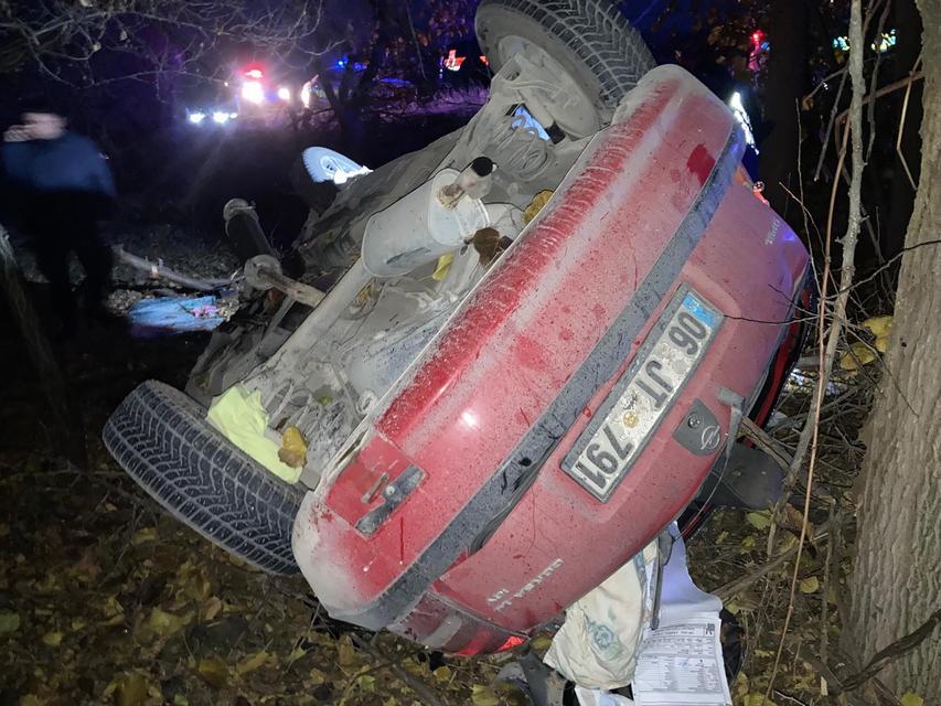 Otomobil kayısı bahçesine uçtu