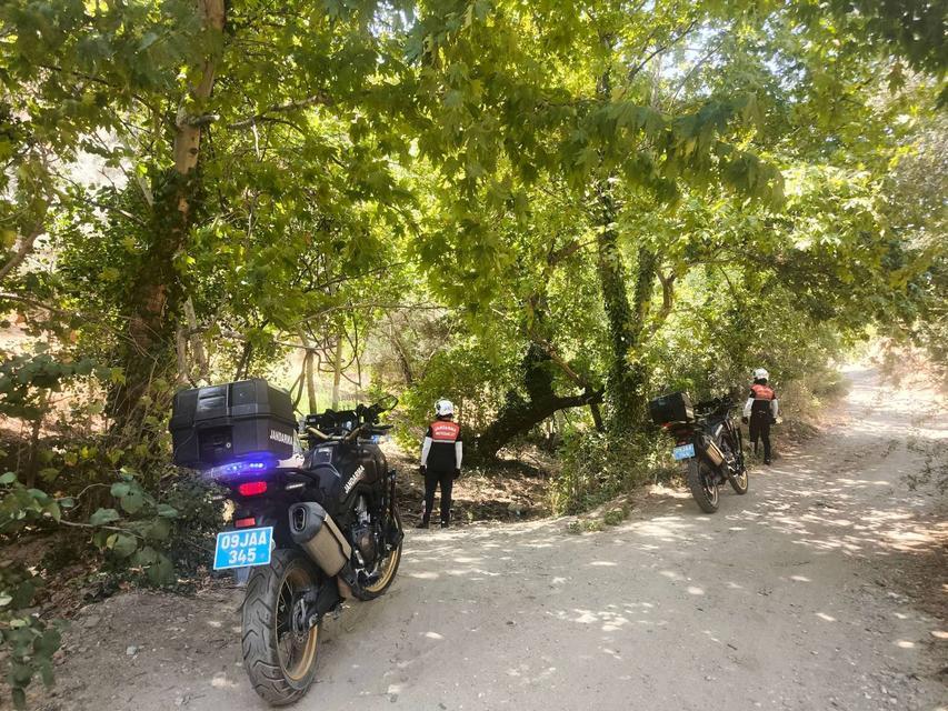 Aydın’da ormanlar havadan ve karadan takipte