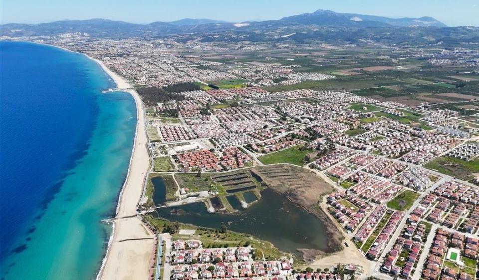 Aydın kıyıları deniz kaplumbağaları için yeni yuvalama merkezi oldu