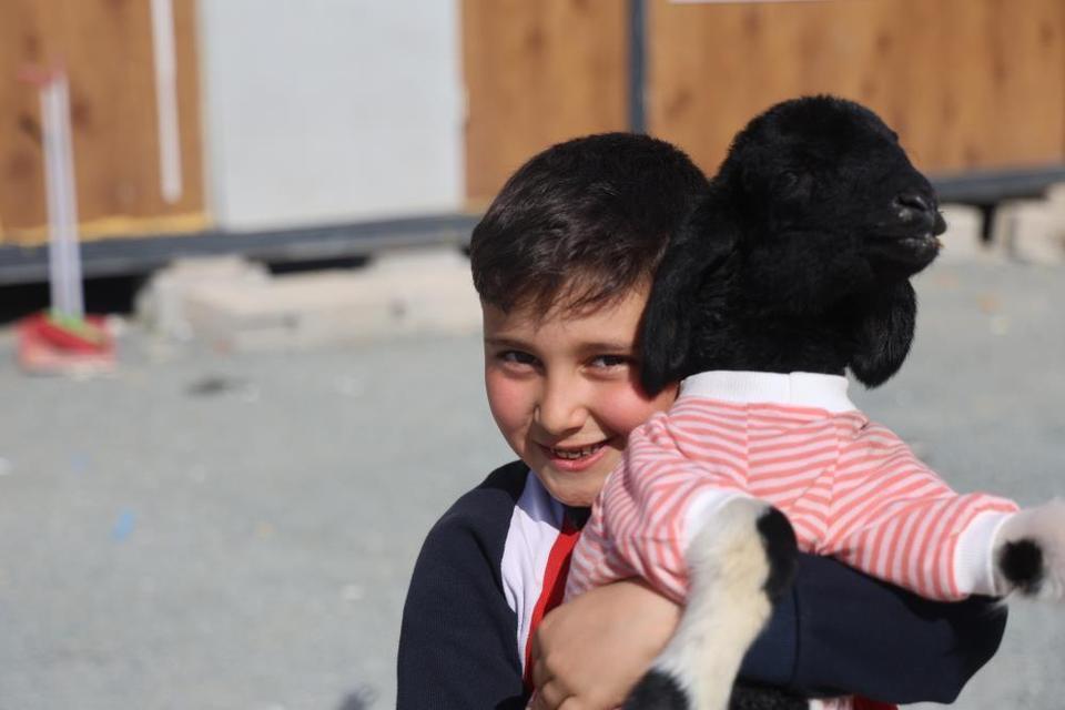 Annesi doğumda telef olan 'Boncuk' kuzu, elbisesi ve biberonuyla ilgi odağı oldu