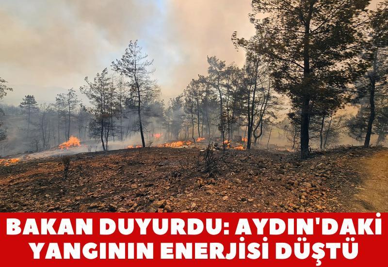 Bakan duyurdu: Aydın'daki yangının enerjisi düştü