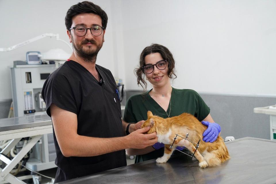 BACAĞI KESİLMEKTEN KURTARILAN 'BALIM' KENDİNE YUVA ARIYOR