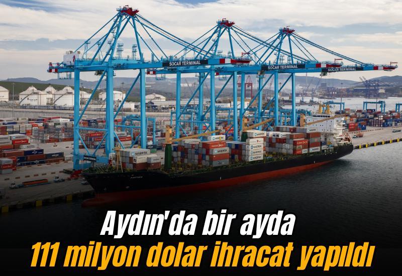 Aydın'da bir ayda 111 milyon dolar ihracat yapıldı